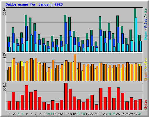 Daily usage for January 2026