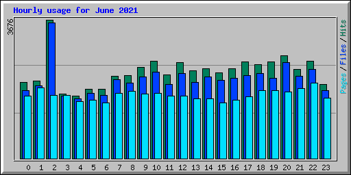 Hourly usage for June 2021