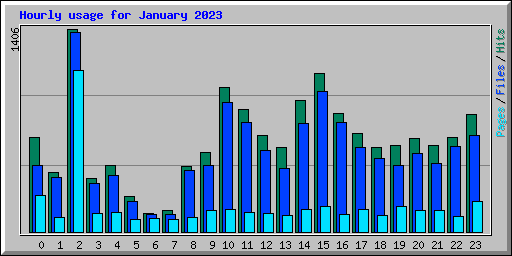 Hourly usage for January 2023
