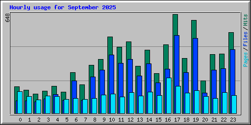 Hourly usage for September 2025