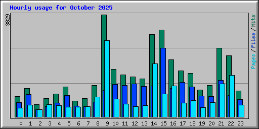 Hourly usage for October 2025