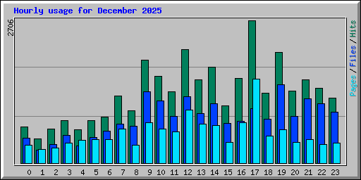 Hourly usage for December 2025